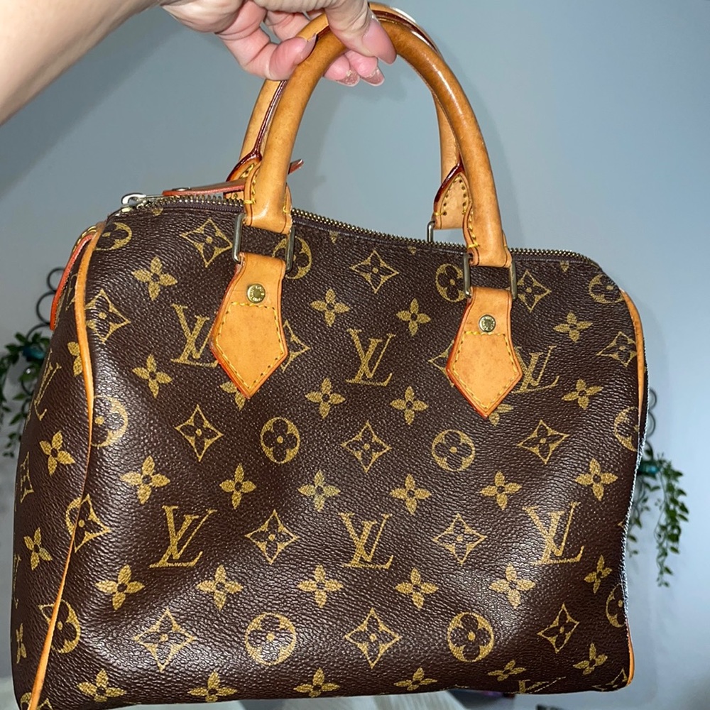 LV purse speedo